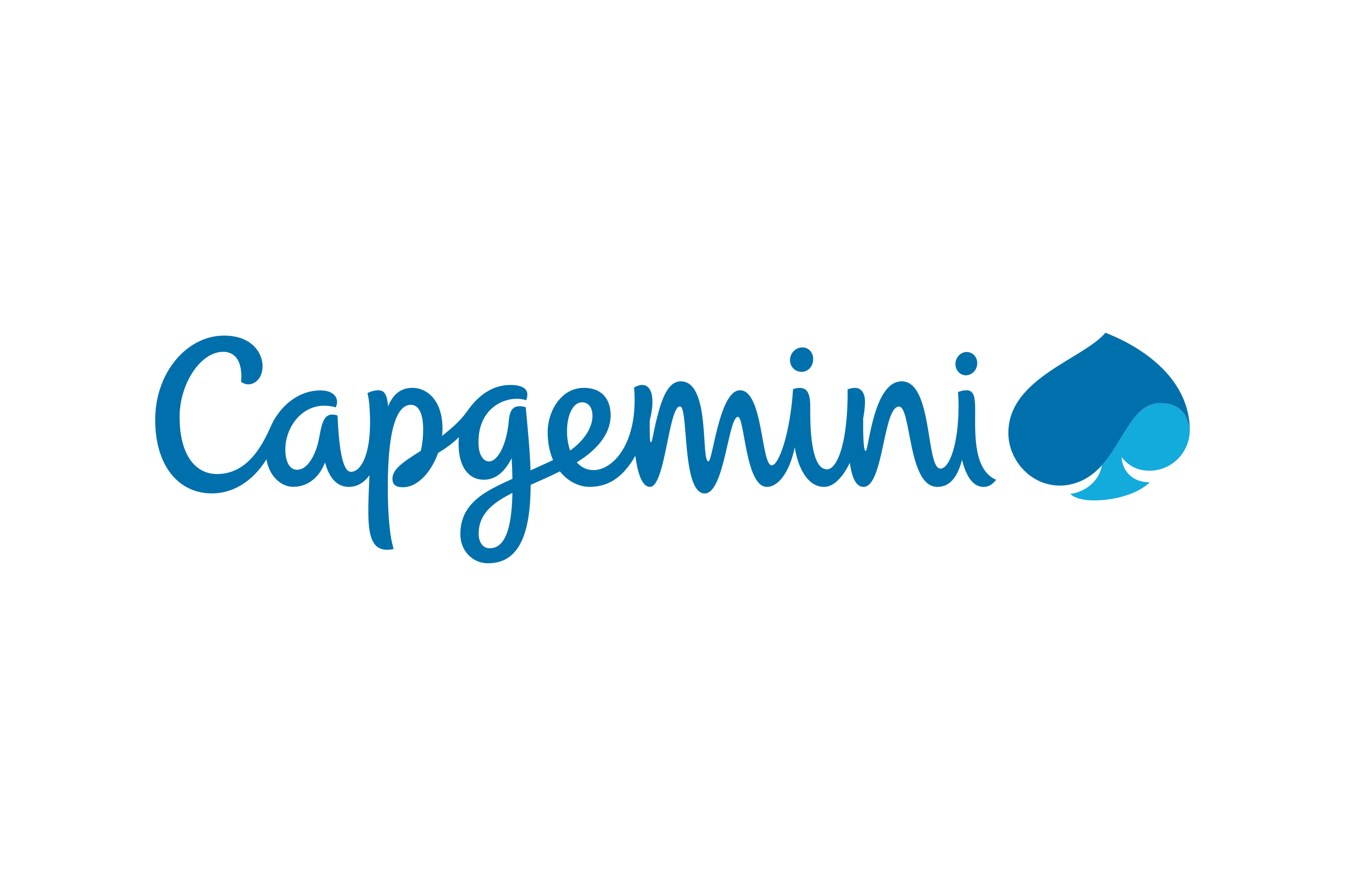 Corporate Partners